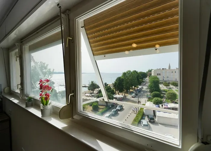 Aurora * Ζαντάρ